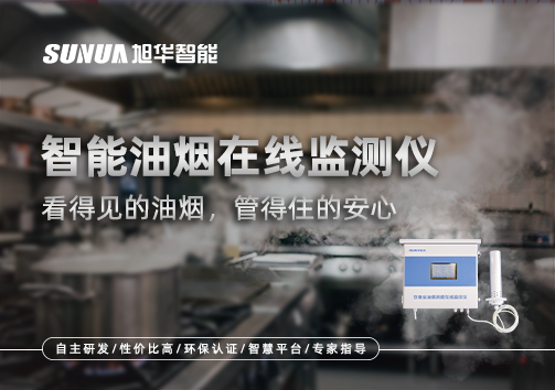 智能油烟在线监测仪：看得见的油烟，管得住的安心