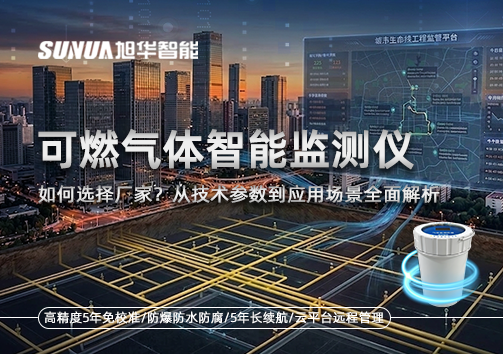 可燃气体智能监测仪厂家如何选择？从技术参数到应用场景全面解析